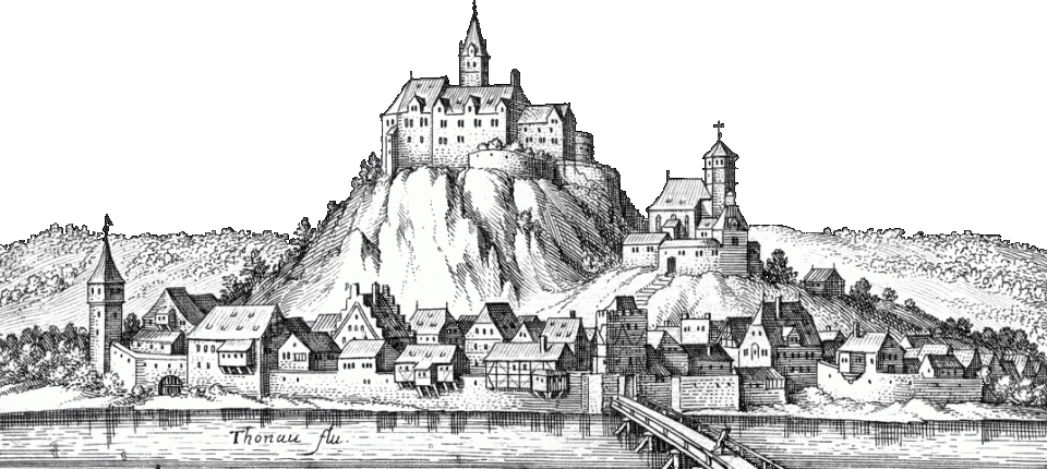 Burg Donaustauf ohne Himmel