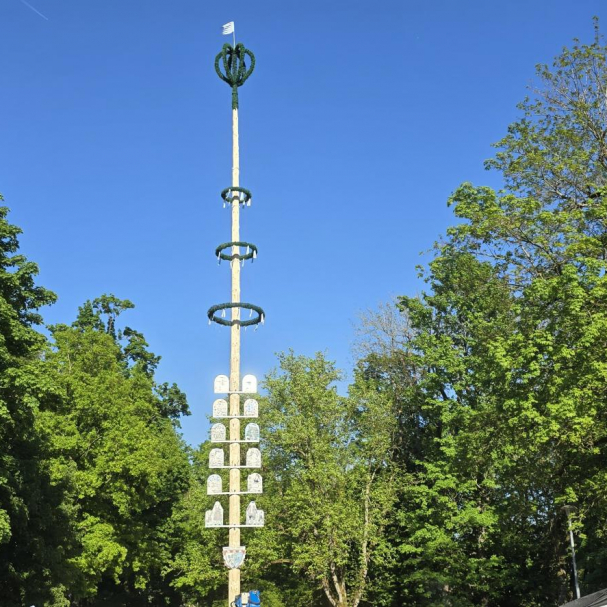 Neu aufgestellter Maibaum 2025 mit Taferln