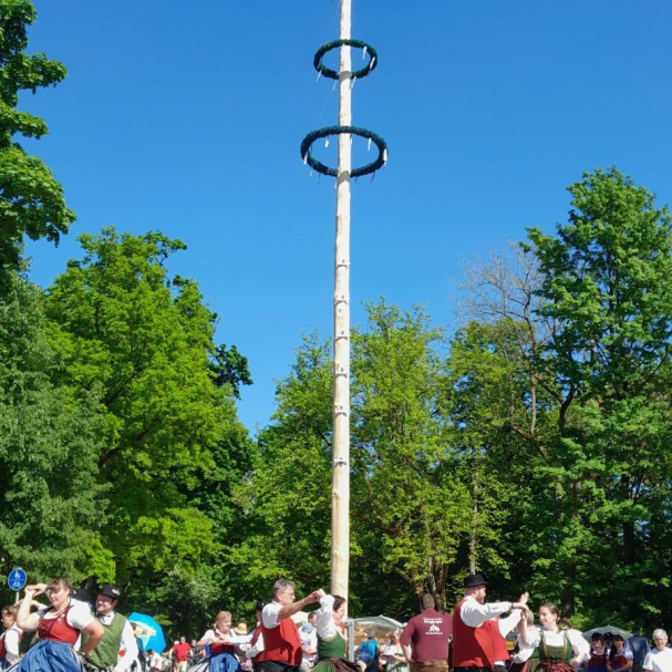 Tänzer des Trachtenverein vor dem Maibaum