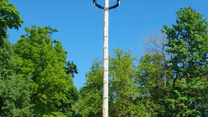 Tänzer des Trachtenverein vor dem Maibaum