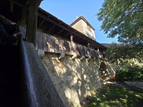 Rothenburg-ob-der-Tauber-Bild-017-20250906_101312