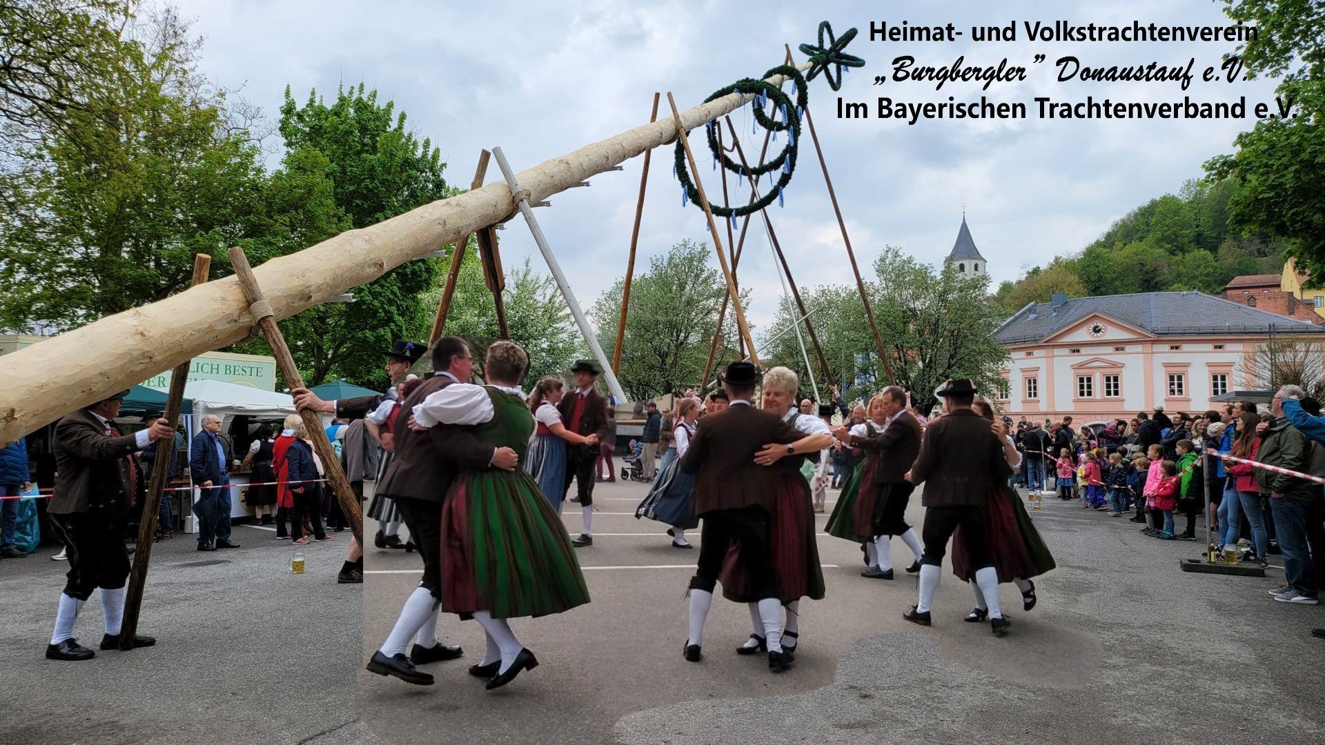 tvd-maifest